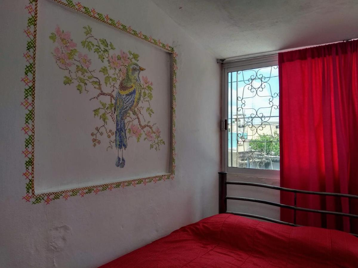 Casa Mestiza Apartment Merida Bagian luar foto