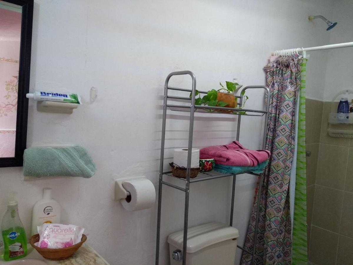 Casa Mestiza Apartment Merida Bagian luar foto